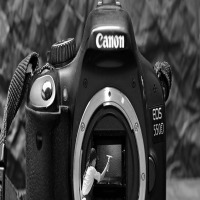 happy homeowner clean