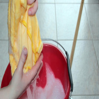 happy homeowner clean